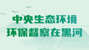 中央生態環境環保督察在黑河